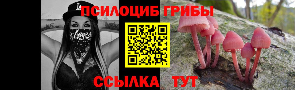 Галлюциногенные грибы ЛСД  Вход с VPN  Псилоцибиновые грибы Psilocybe  Губаха 